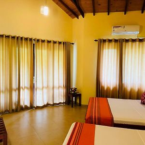 Triple Room Mountain View